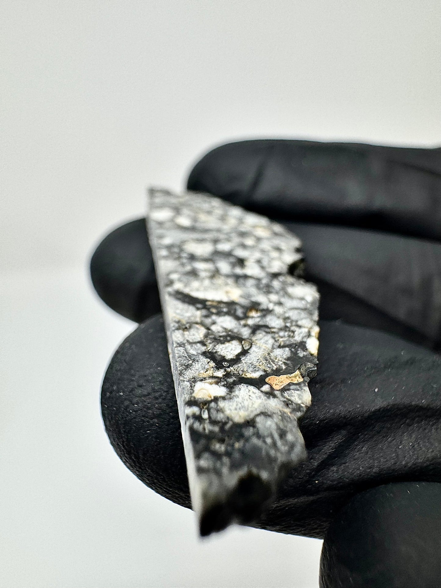 Stunning 3.4g Gadamis 007 Lunar Meteorite - Ferroan Anorthosite, Cataclastic - “The Apollo Lunar”