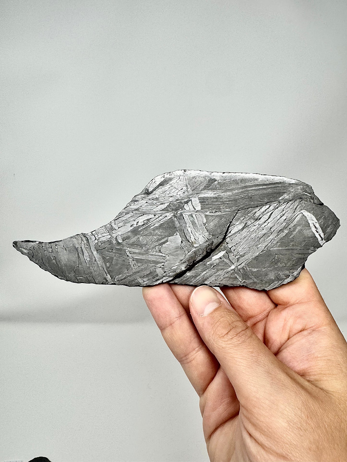 Seymchan Pallasite Meteorite - Full Slice - Nickel/Iron Boundary - From An Asteroid - 263.9g