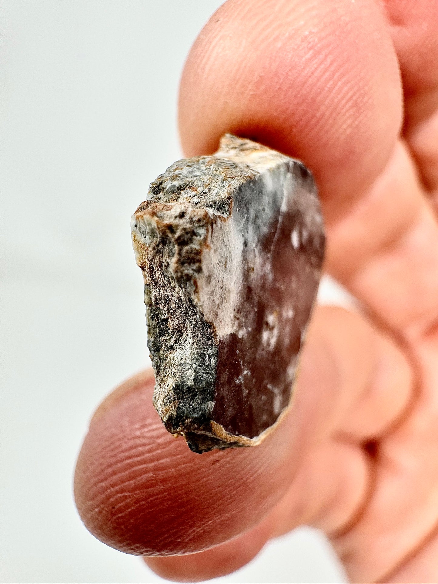 Stunning Bechar 003 Lunar Feldspathic Breccia - 2.1g - A Piece Of Our Moon!