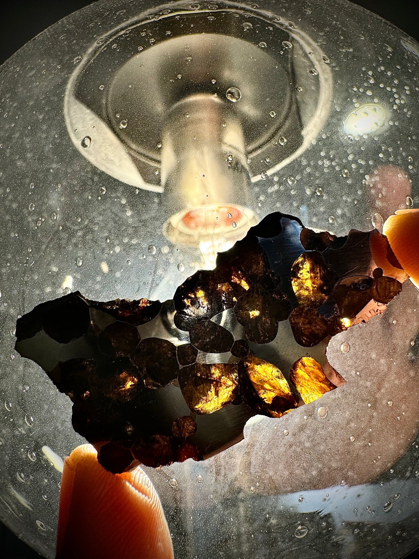 Springwater Pallasite - 13g Full Slice - Exquisite Translucency and Polish