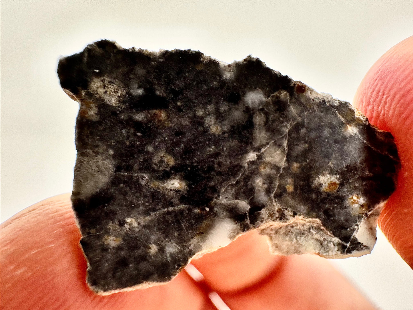2.1g Bechar 003 Lunar Feldspathic Breccia with metal inclusions from impact in space! Polished