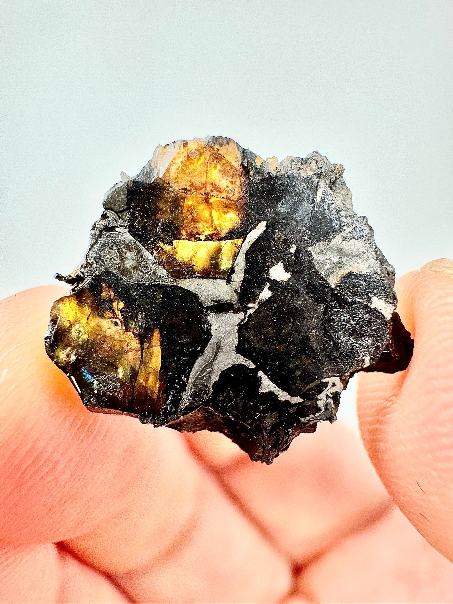 Brahin Pallasite Meteorite - 1.9g - From The Mantle/Core Of An Asteroid - Grade A Translucency