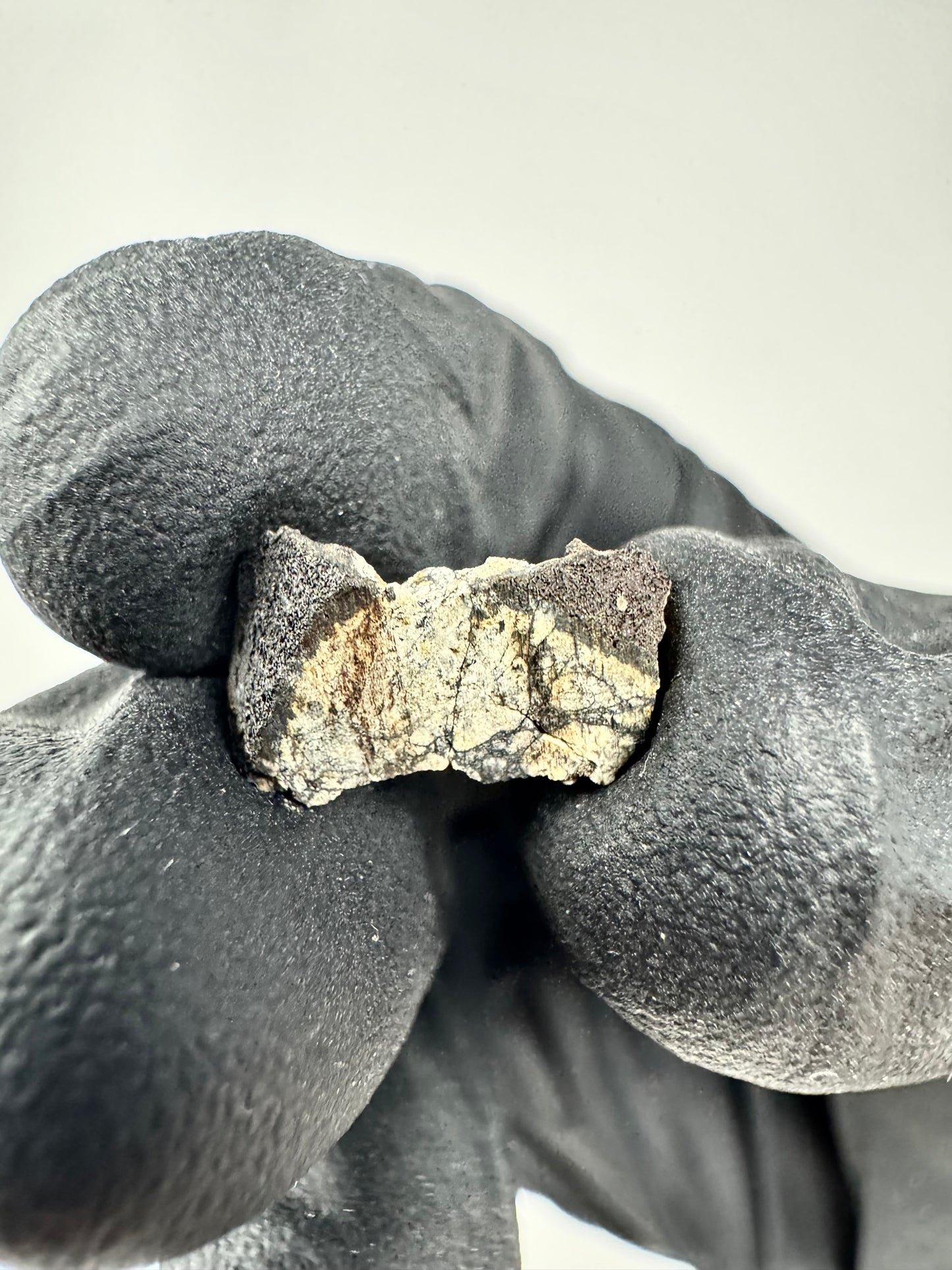 0.5g Chelyabinsk Brecciated Meteorite - Jet Black Crust - Incredibly Fresh and Discovered Immediately After the Fall!