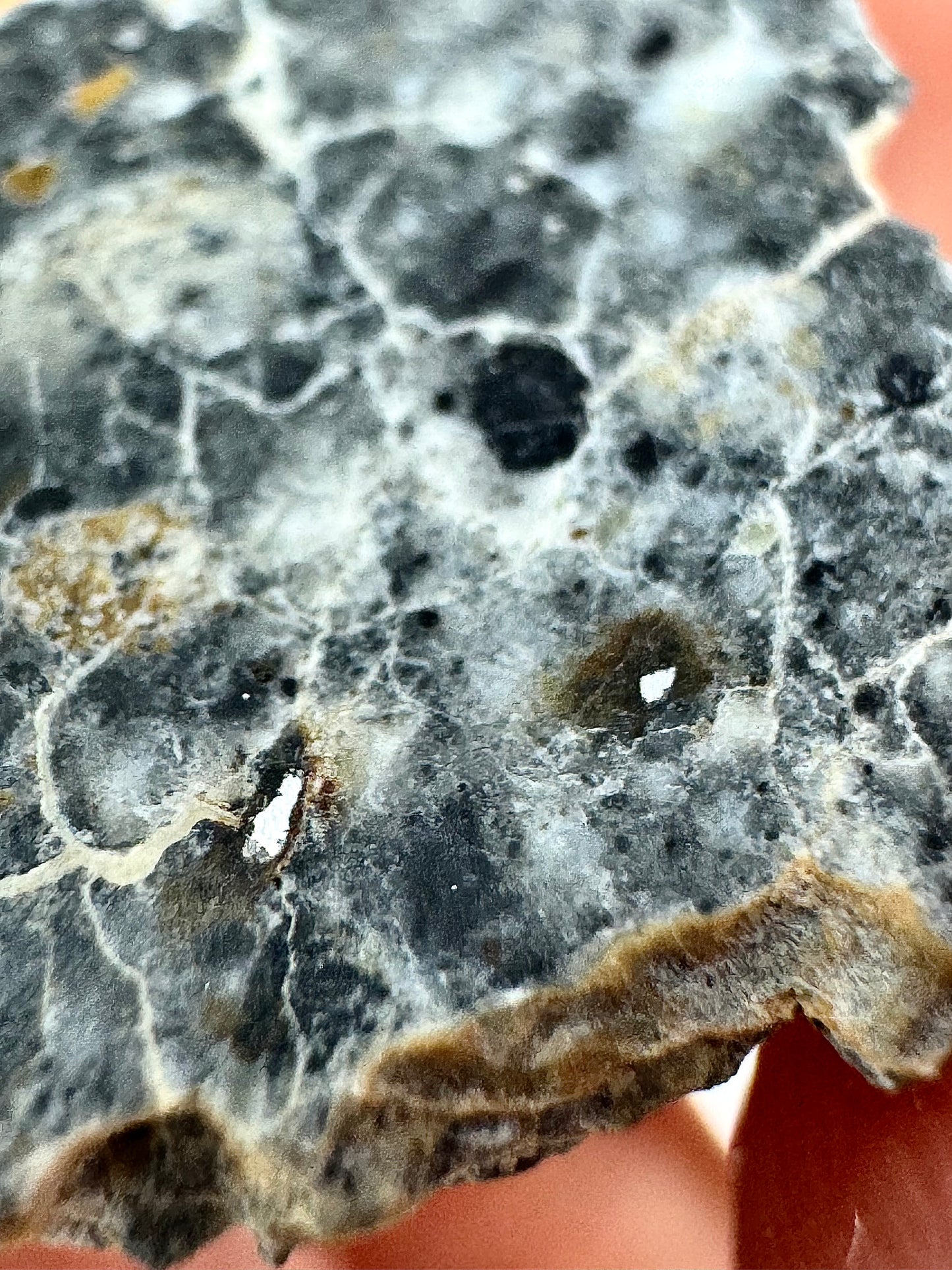 1.8g Bechar 003 Lunar Feldspathic Breccia with metal inclusions from impact in space! Polished