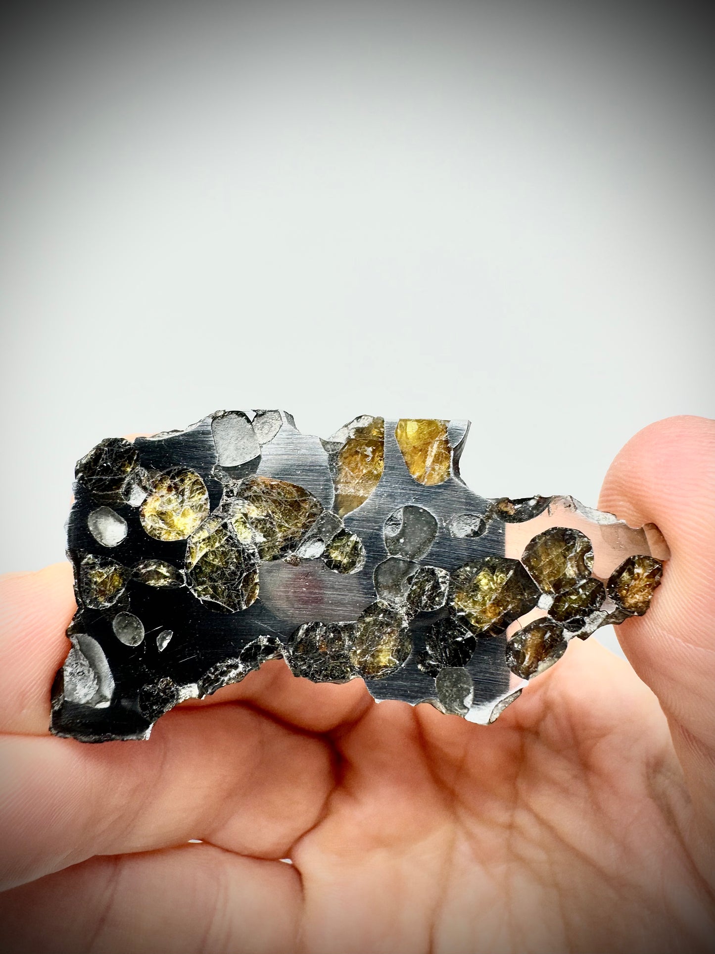 Springwater Pallasite - 13g Full Slice - Exquisite Translucency and Polish