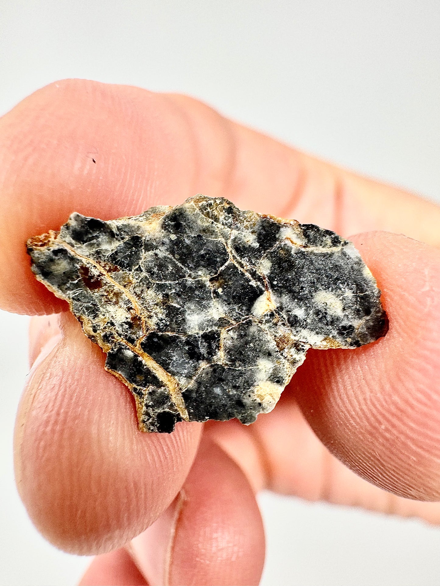 Stunning Bechar 003 Lunar Feldspathic Breccia - 1.2g - A Piece Of Our Moon!