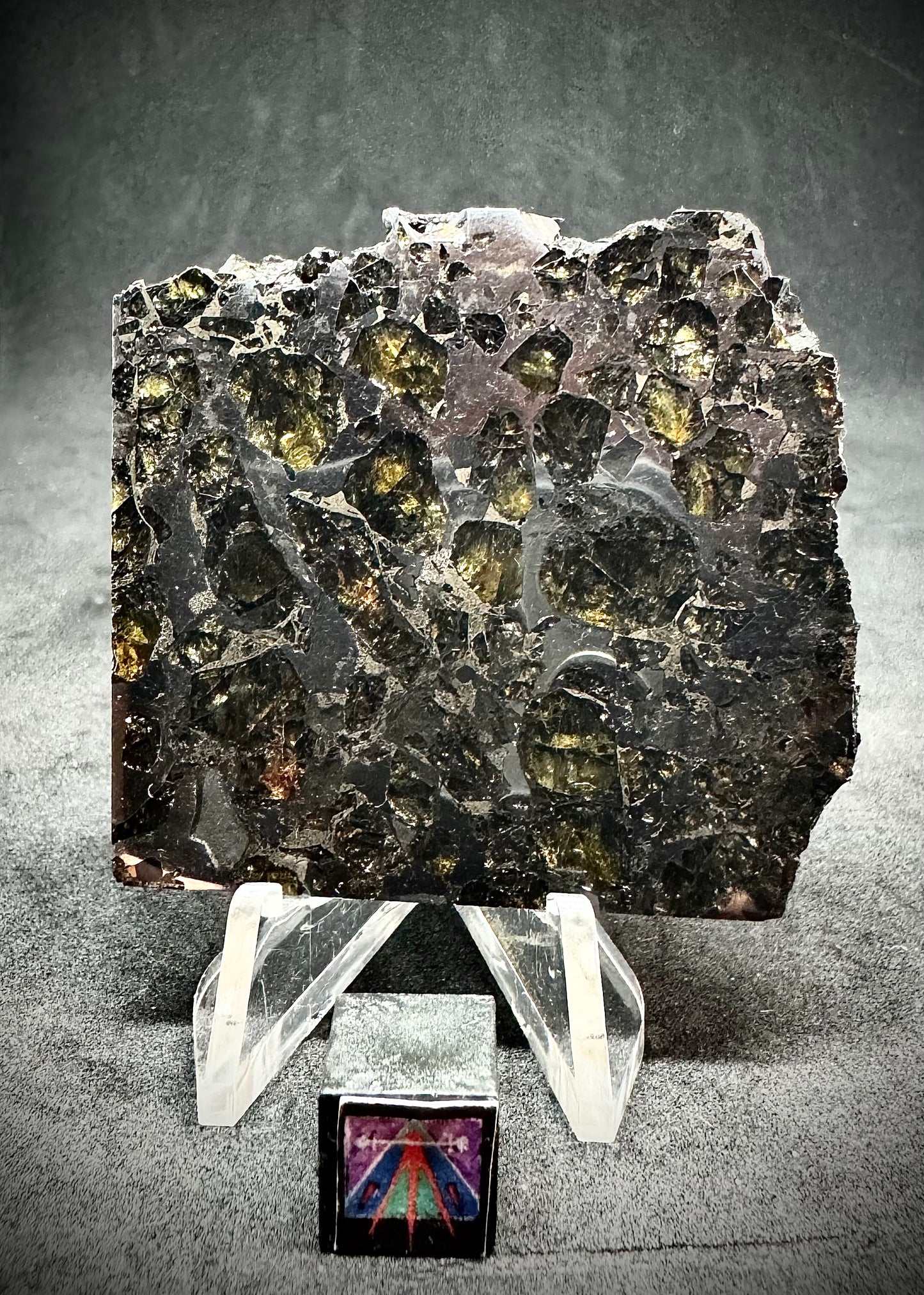 Brahin Pallasite Meteorite - 32.8g
