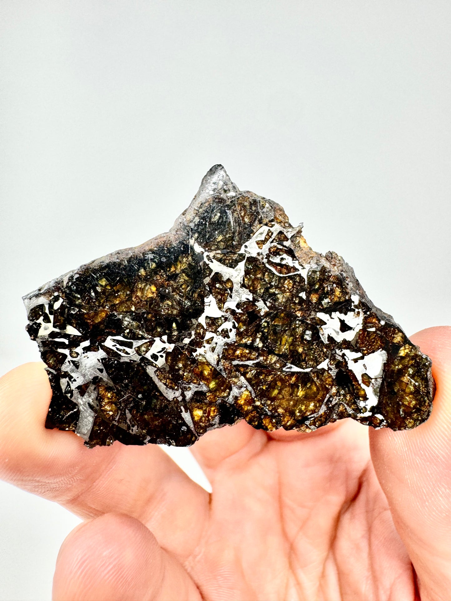 Brahin Pallasite Meteorite - 20.4g - From The Mantle/Core Of An Asteroid