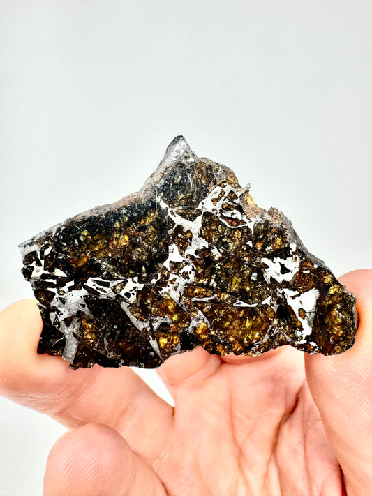 Brahin Pallasite Meteorite - 20.4g - From The Mantle/Core Of An Asteroid