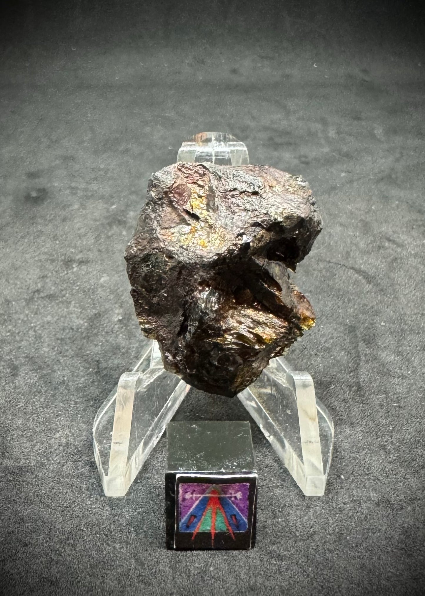 NWA 15428 Pallasite Meteorite End Piece with Translucency! 11.6g