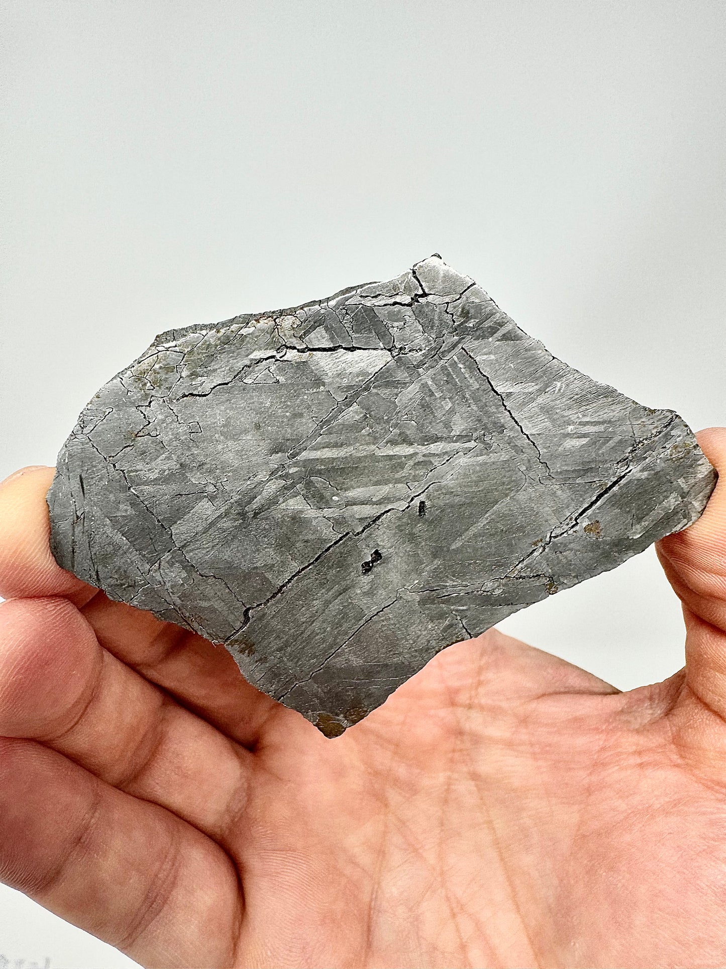 Stunning Brand New Iron Meteorite - 59.1g - Full Slice - From The Core Of An Asteroid