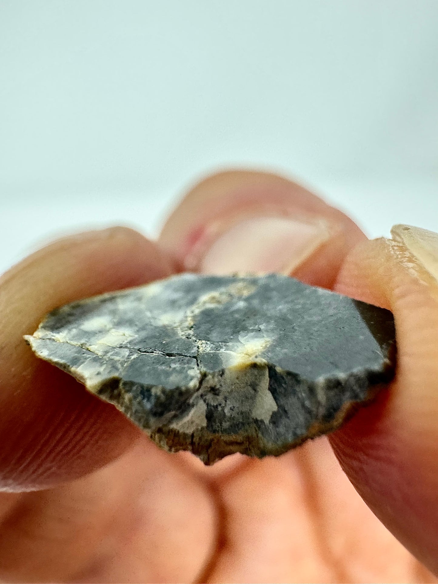 0.7g Bechar 003 Lunar Feldspathic Breccia - End Cut