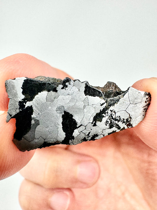 NWA 5549 Silicated Iron Meteorite - END CUT! 5.5g