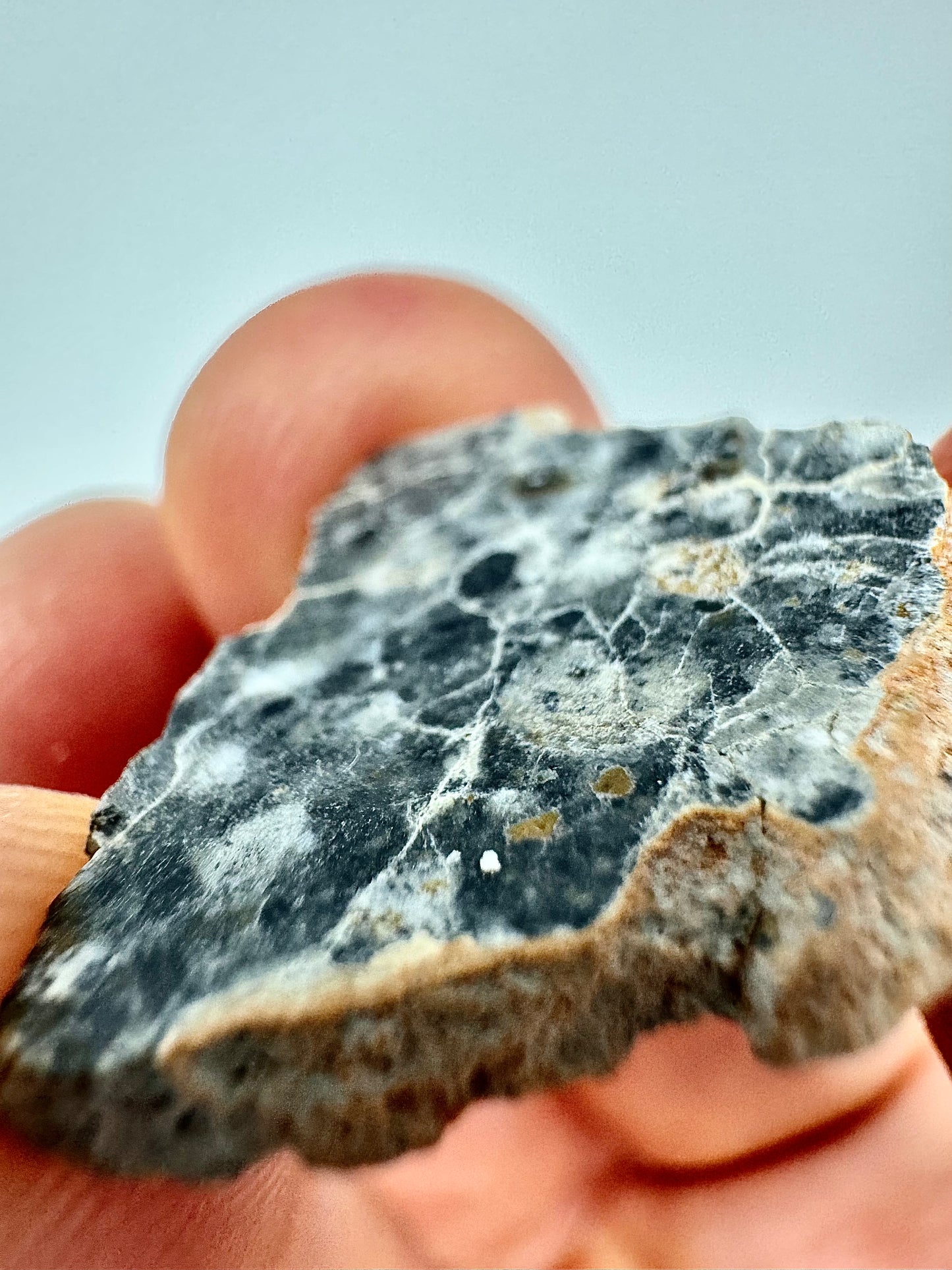 1.8g Bechar 003 Lunar Feldspathic Breccia with metal inclusions from impact in space! Polished