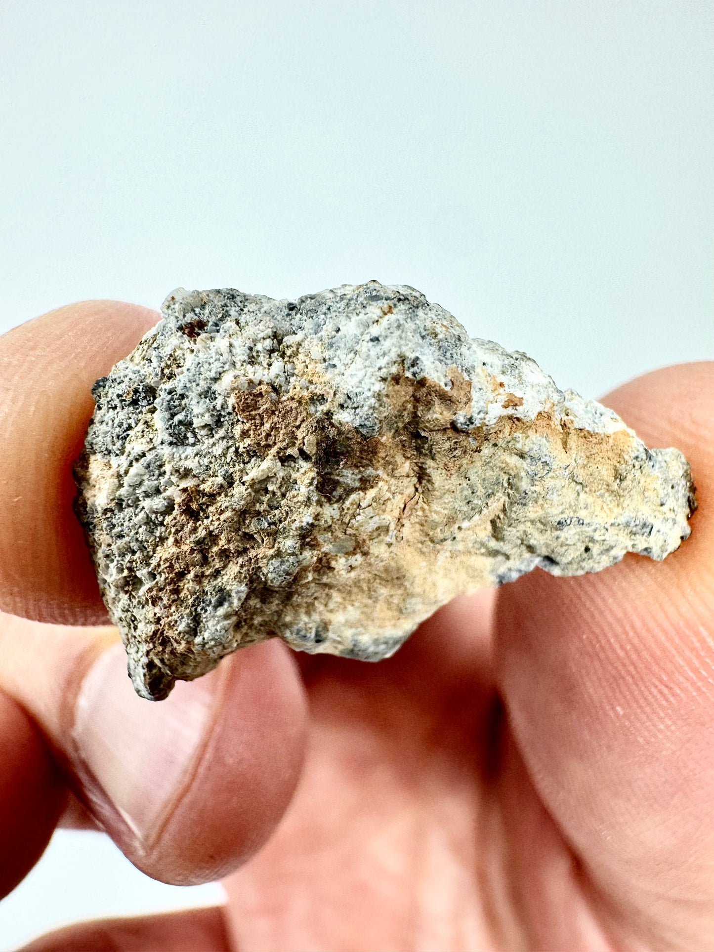 Beautiful Bechar 003 Lunar Feldspathic Breccia- END CUT - 2.0g - A Piece Of Our Moon!