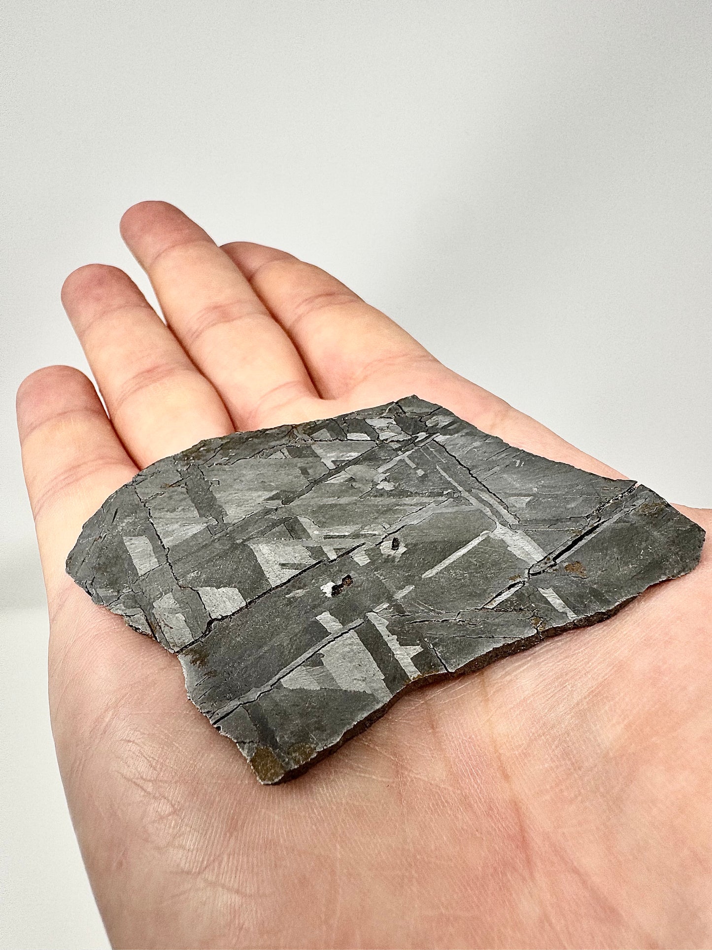 Stunning Brand New Iron Meteorite - 59.1g - Full Slice - From The Core Of An Asteroid