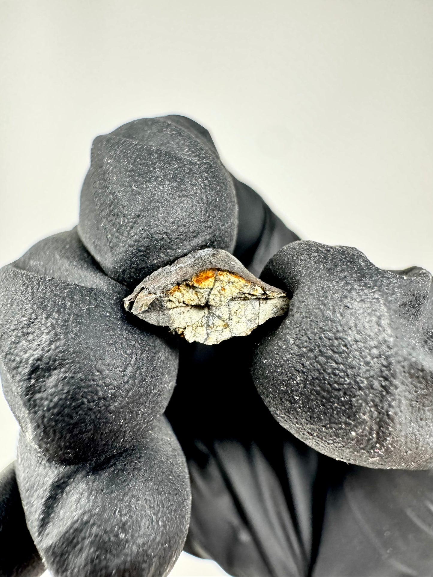 0.8g Chelyabinsk Brecciated Meteorite - Jet Black Crust - Incredibly Fresh and Discovered Immediately After the Fall!