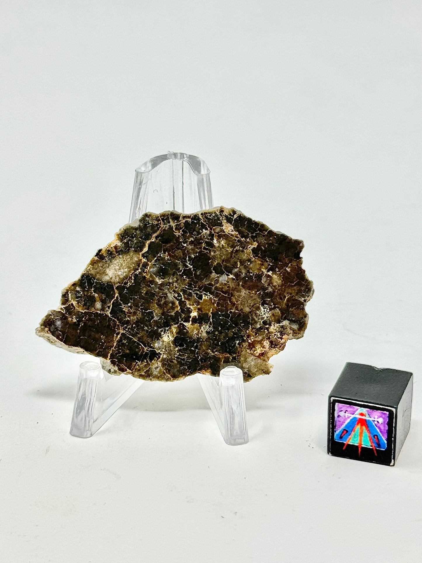 Laâyoune 002 Lunar Meteorite - Beautiful Polish on One Side - 7.8g