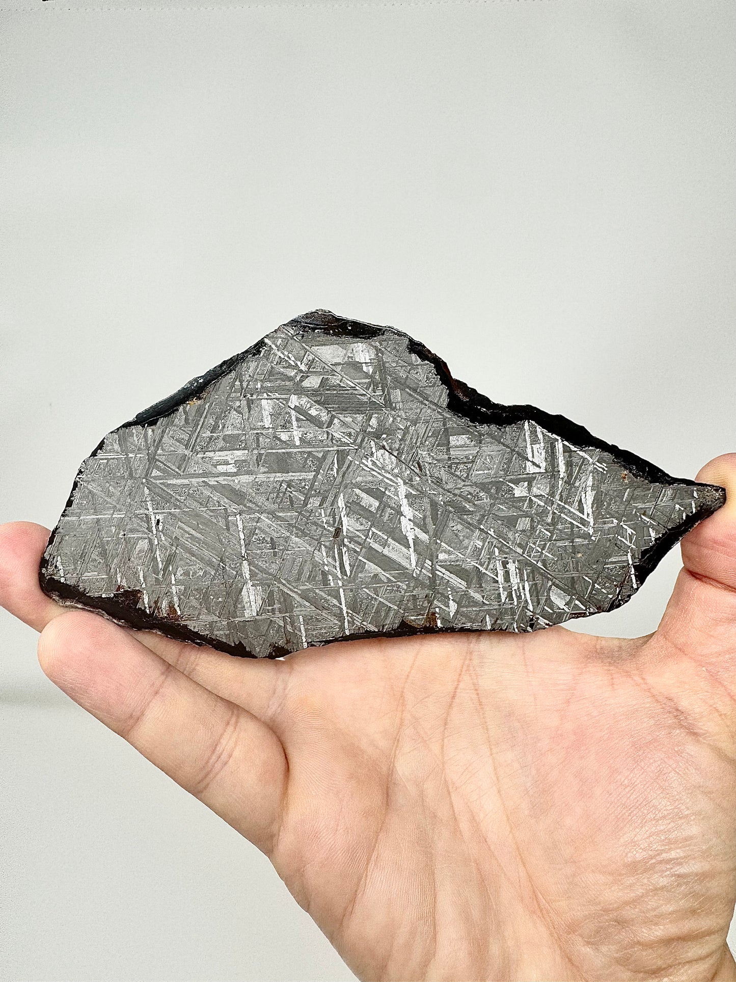 Muonionalusta Iron Meteorite - 143.6g - Full Slice - From The Core Of An Asteroid!