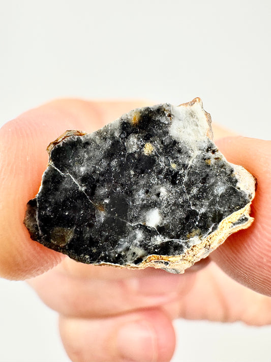 Stunning Bechar 003 Lunar Feldspathic Breccia - 2.1g - A Piece Of Our Moon!