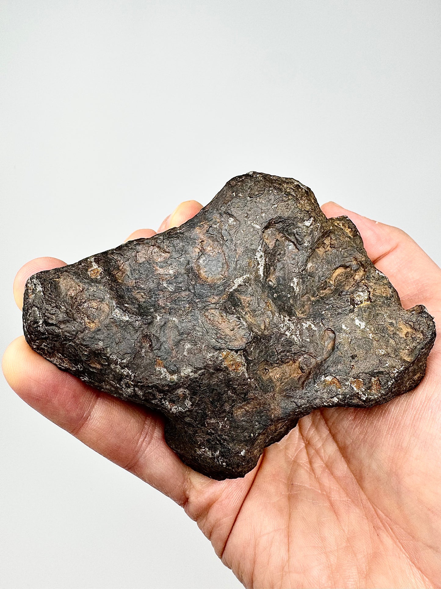 1,223g Campo Del Cielo Iron Meteorite - Beautiful Features