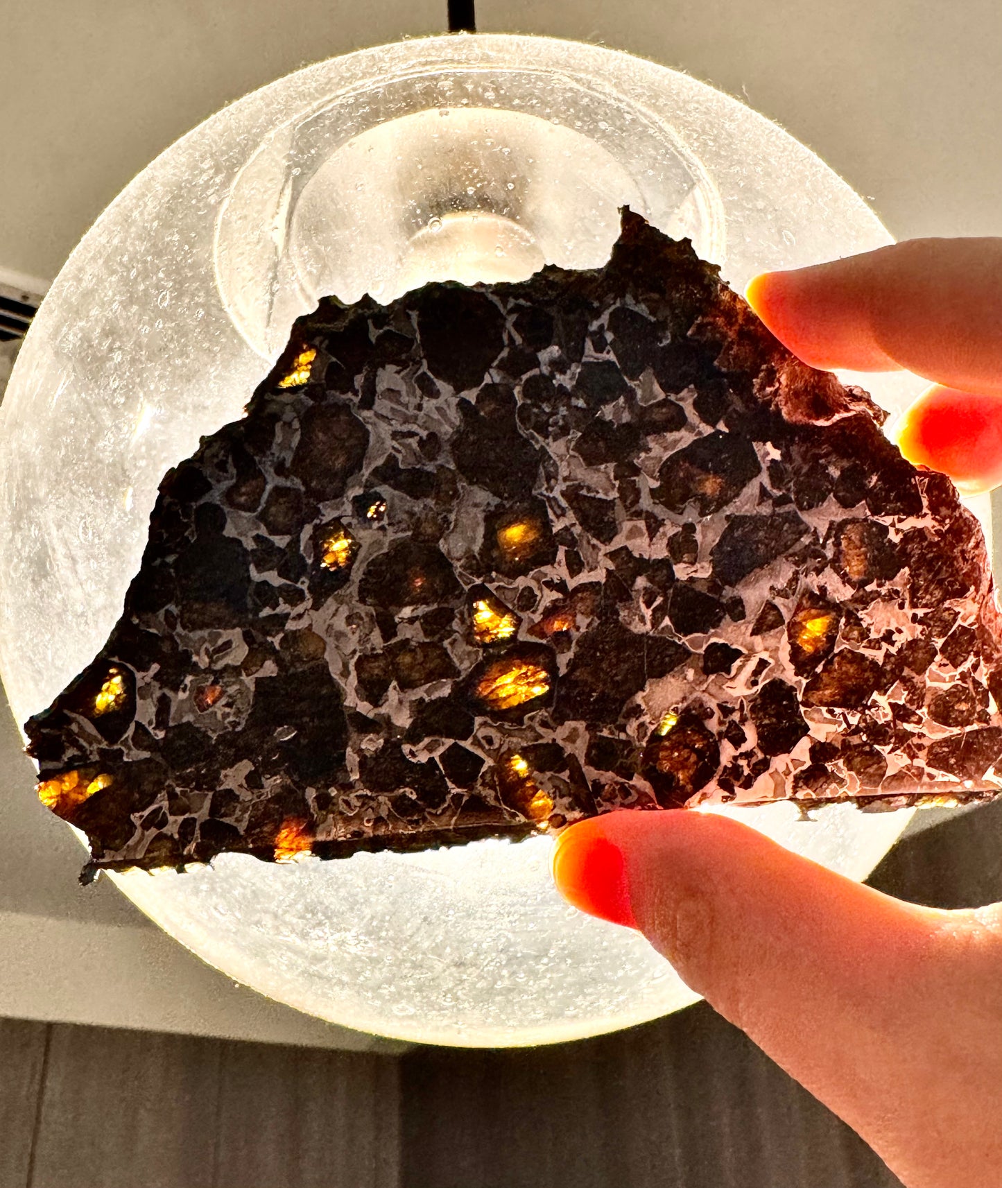 Brahin Pallasite Meteorite - 134.4g - From The Mantle/Core Of An Asteroid - Grade B Translucency