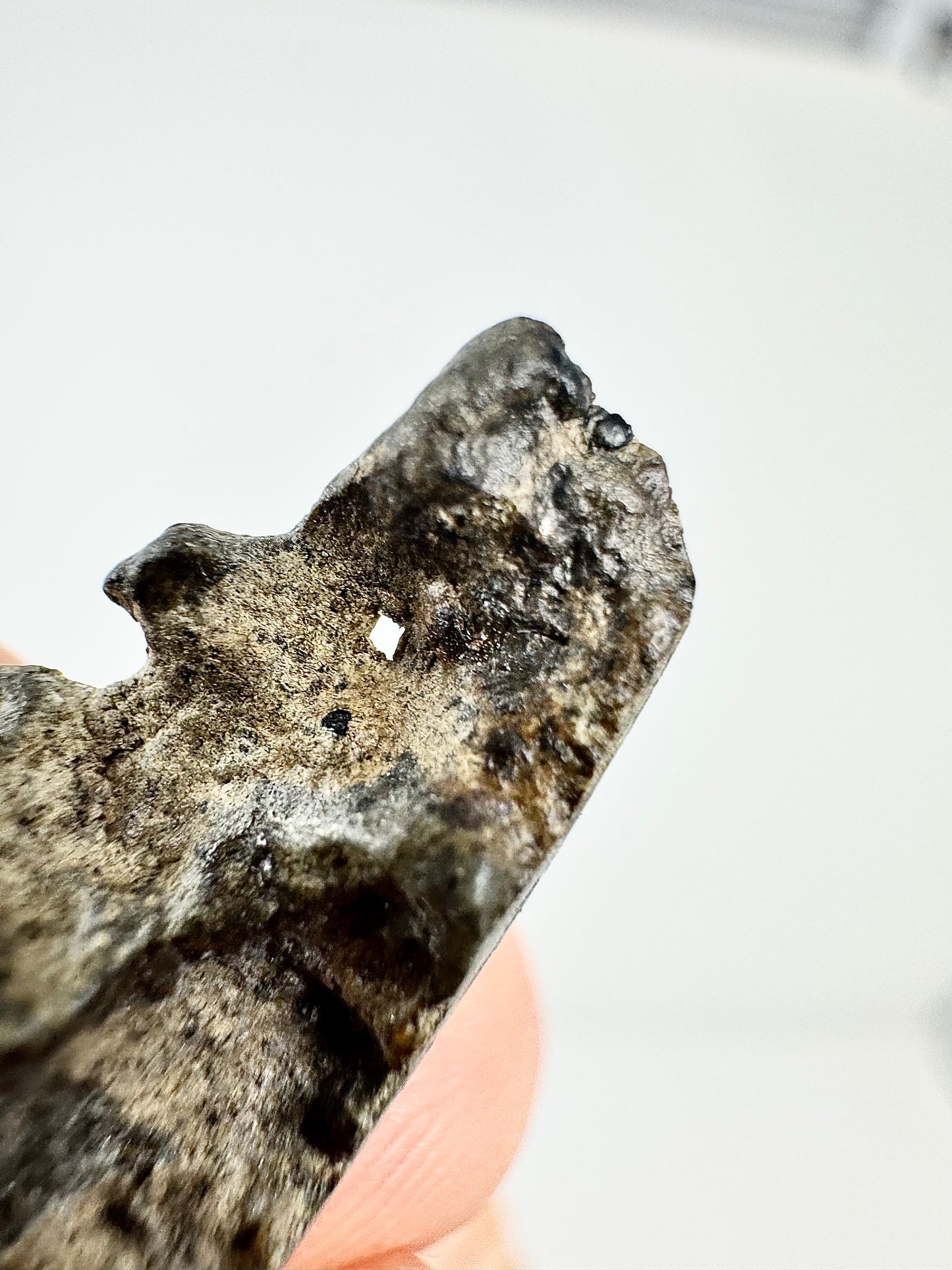 1.6g Genuine Martian Meteorite Amgala 001 - END CUT- Scientifically Studied Rock From Planet Mars