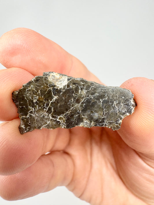 Laâyoune 002 Lunar Meteorite - Beautiful Polish - 2.1g