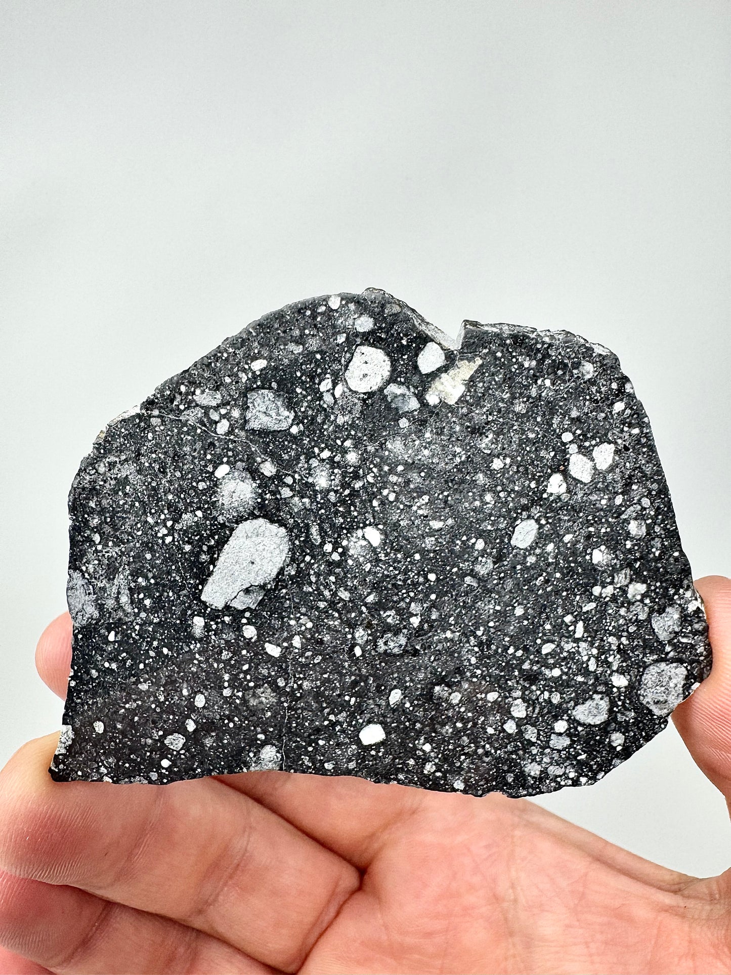 Stunning NWA 17679 Lunar Breccia - FULL SLICE - 21.7g - A Genuine Piece Of Our Moon!