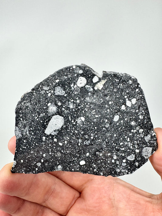 Stunning NWA 17679 Lunar Breccia - FULL SLICE - 21.7g - A Genuine Piece Of Our Moon!