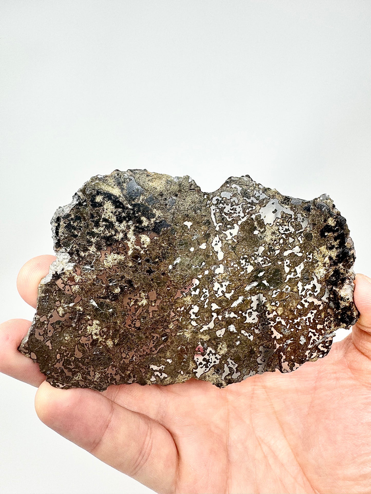 65.1g El Milhas 005 Mesosiderite Meteorite - The Estherville Lookalike!
