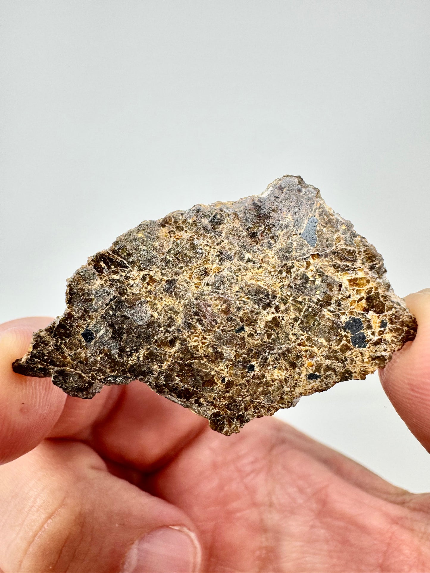 3.2g NWA 16317 Translucent Diogenite Meteorite - Parent Body: Asteroid Vesta