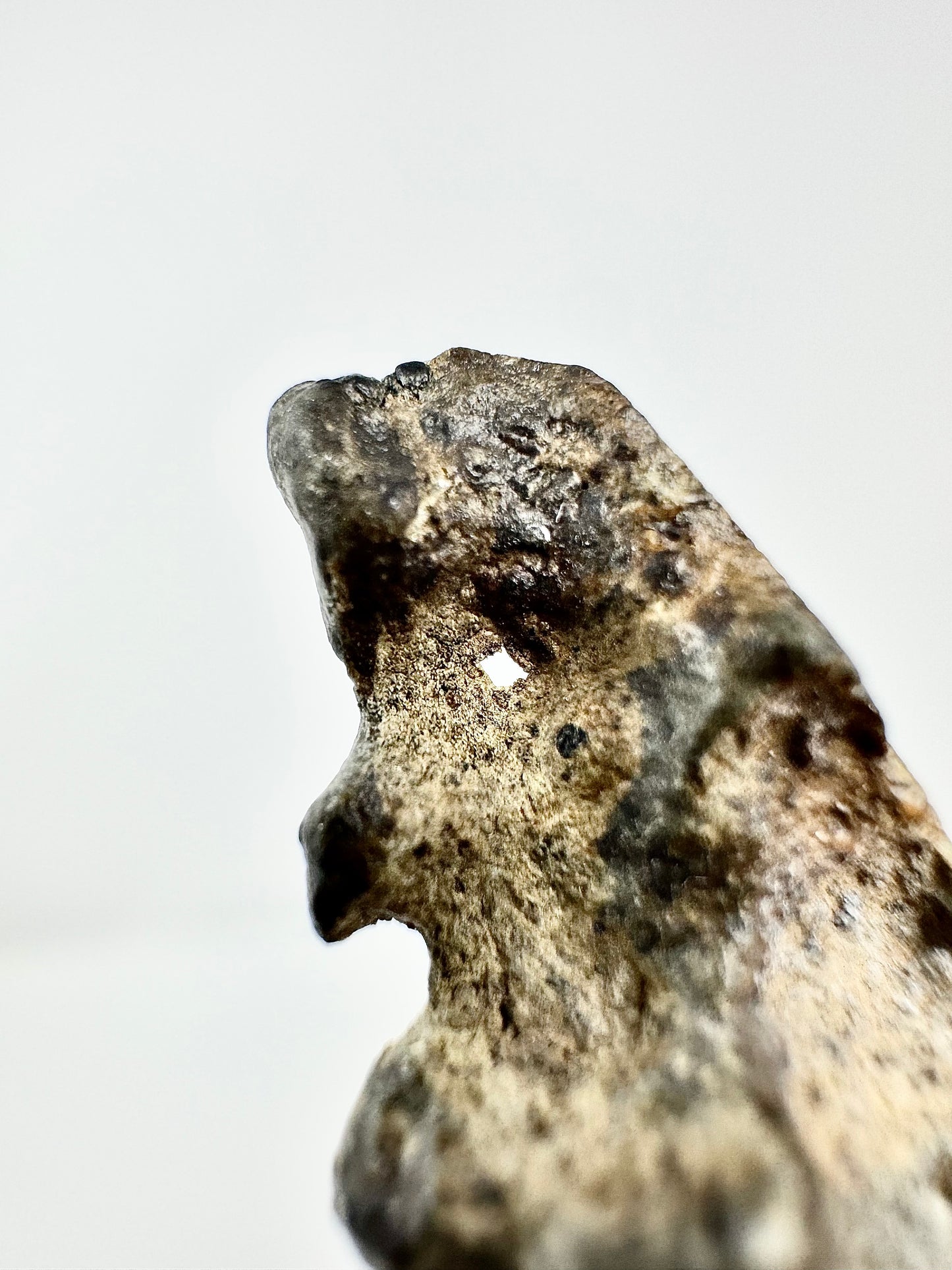 1.6g Genuine Martian Meteorite Amgala 001 - END CUT- Scientifically Studied Rock From Planet Mars