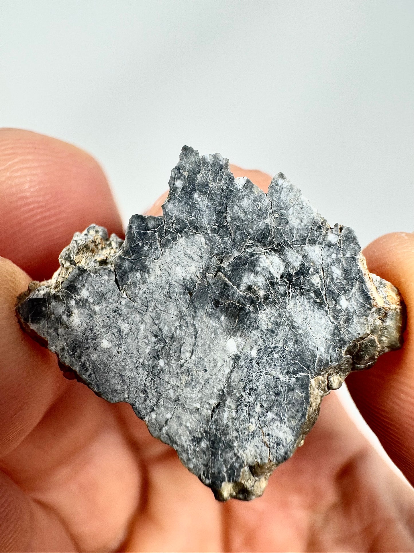 Gadamis 003 Lunar Meteorite - Ferroan Anorthosite, Cataclastic - “The Apollo Lunar” - 1.8g