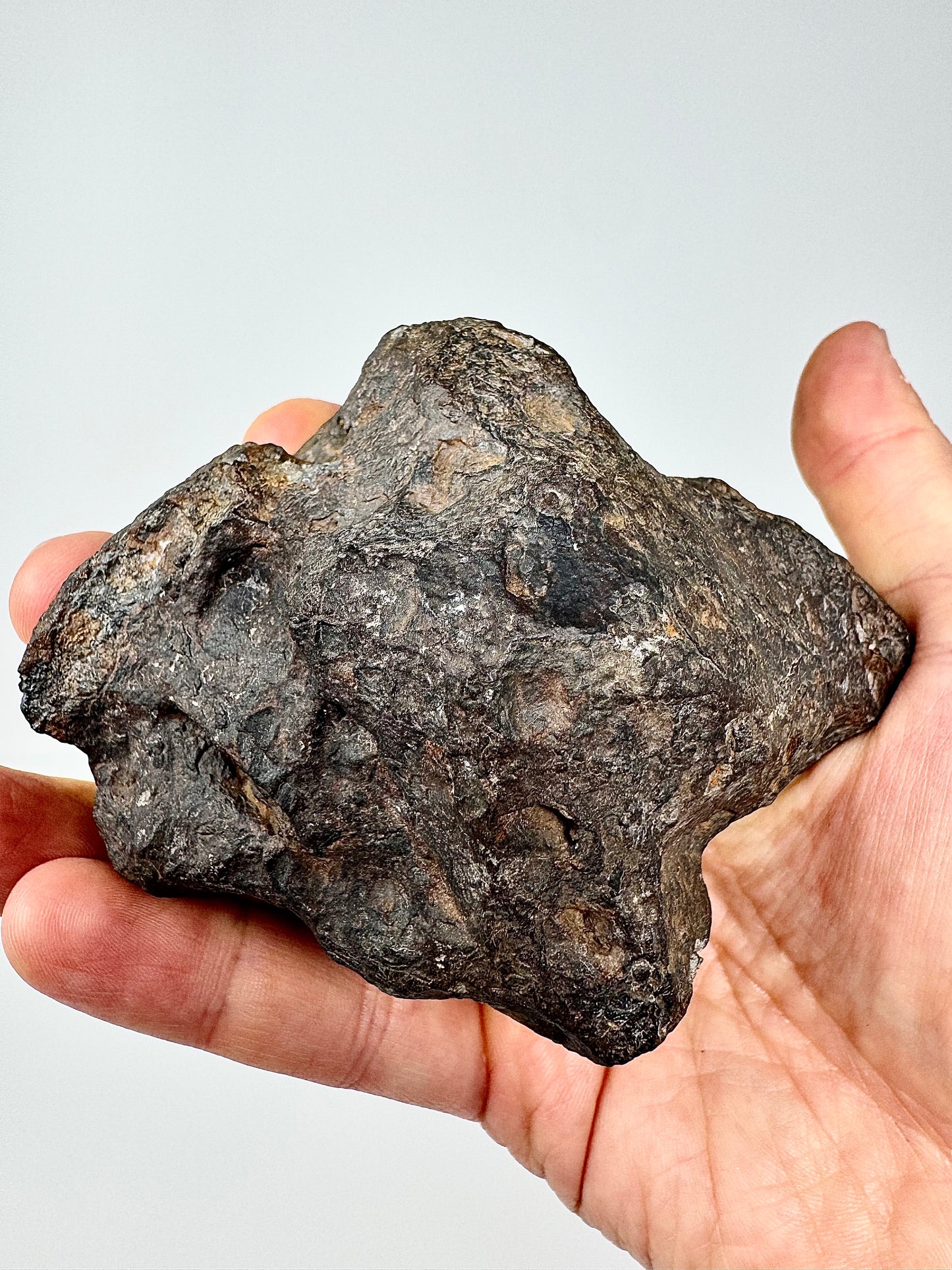 1,223g Campo Del Cielo Iron Meteorite - Beautiful Features