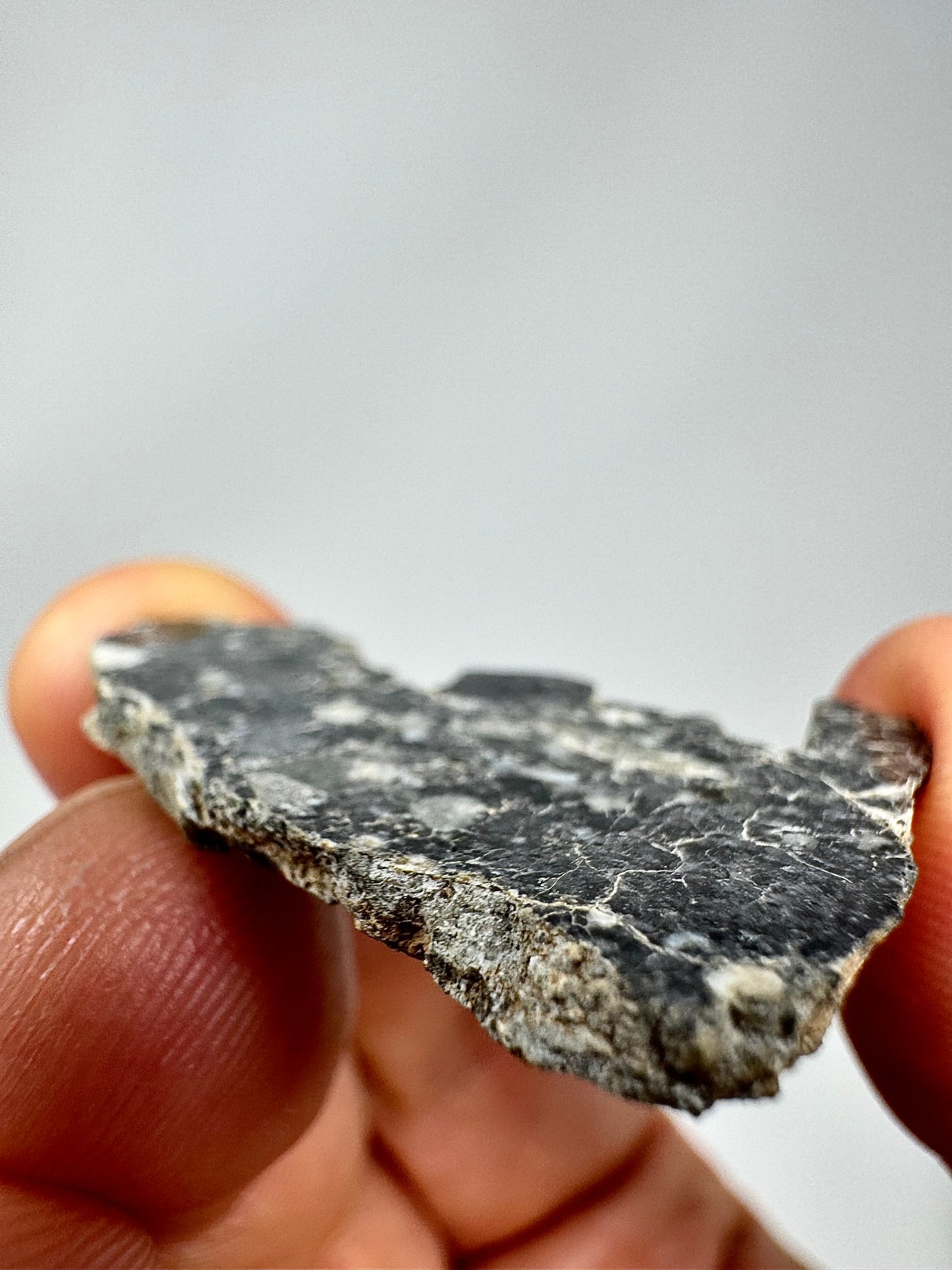 Stunning 3.4g Bechar 003 Lunar Feldspathic Breccia - Full Slice - Polished