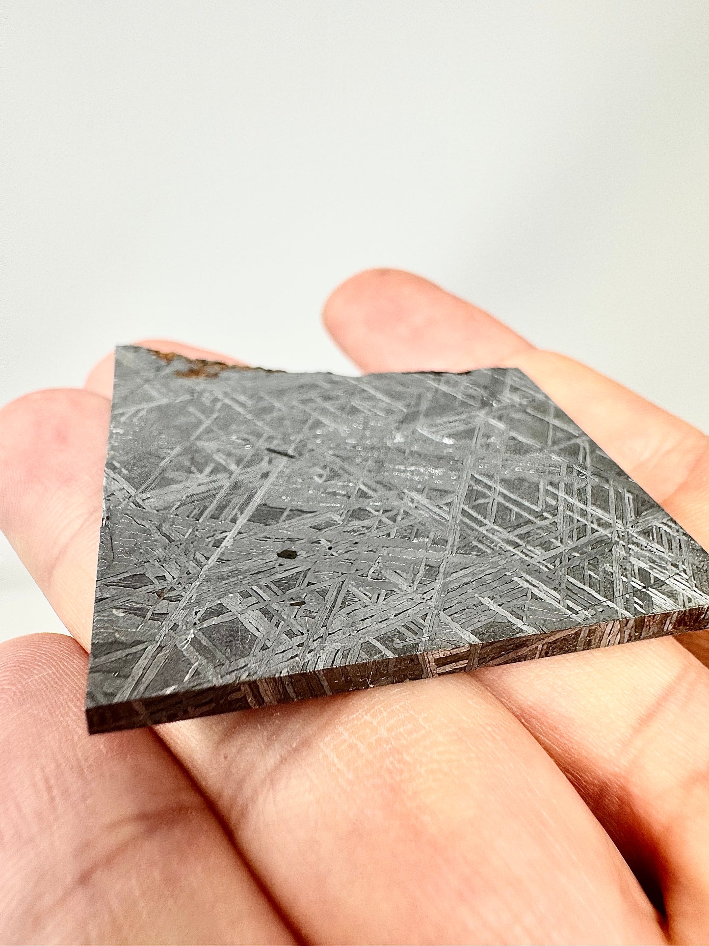 Muonionalusta Iron Meteorite - Part Slice - From The Core Of An Asteroid!