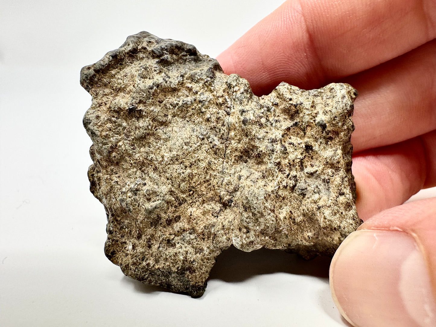 57.4g Genuine Martian Meteorite Amgala 001 Individual - Scientifically Studied Rock From Planet Mars