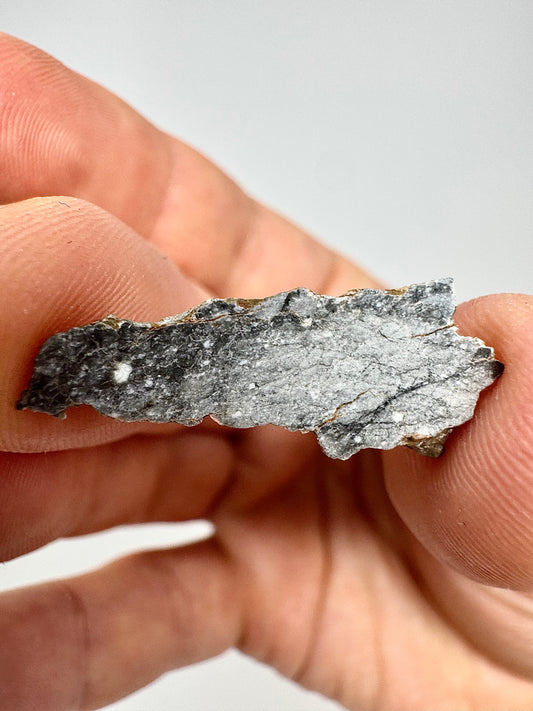 Gadamis 003 Lunar Meteorite  - Ferroan Anorthosite, Cataclastic - “The Apollo Lunar” - 1.3g