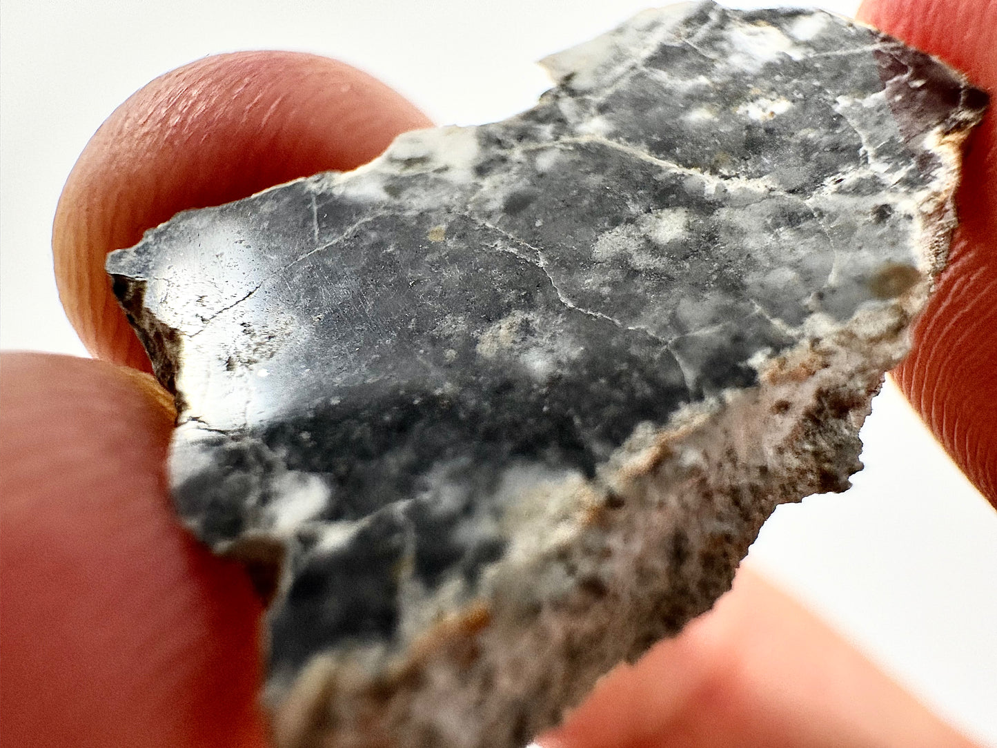 2.1g Bechar 003 Lunar Feldspathic Breccia with metal inclusions from impact in space! Polished