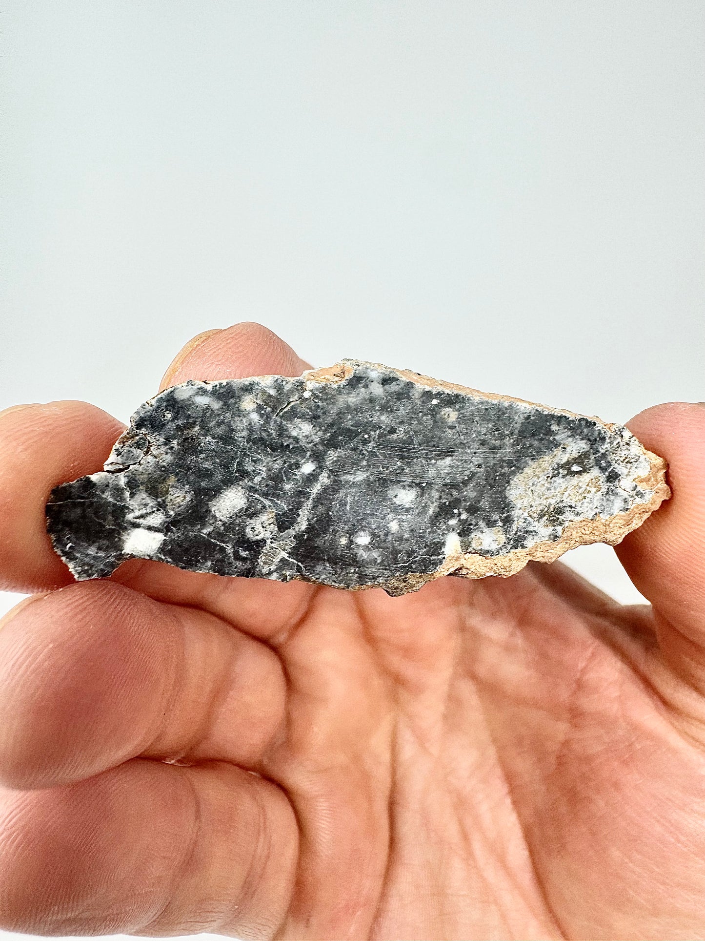 Stunning Bechar 003 Lunar Feldspathic Breccia - Full Slice - 5.5g - A Piece Of Our Moon!