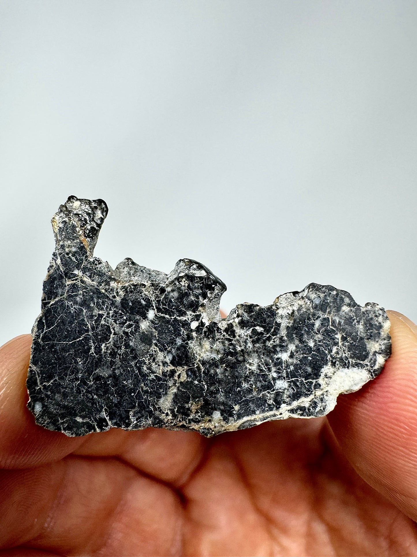 Stunning 3.4g Bechar 003 Lunar Feldspathic Breccia - Full Slice - Polished