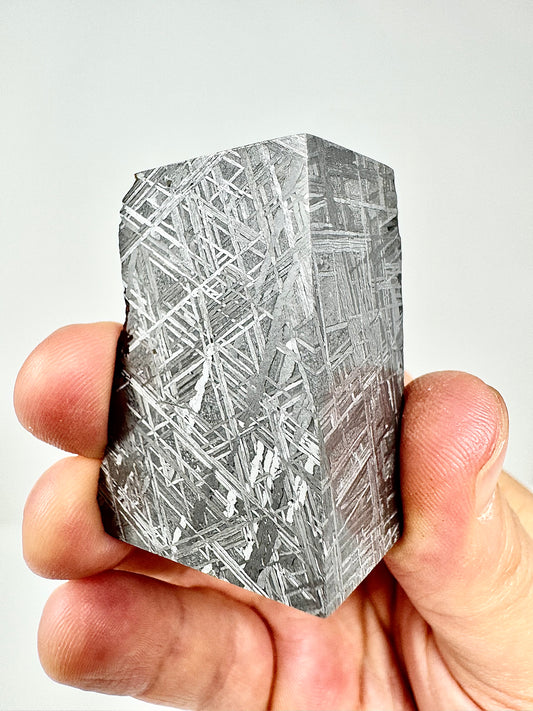 Muonionalusta Iron Meteorite - Stunning, Chunky End Cut/Outer Edge Exposed - 135.8g