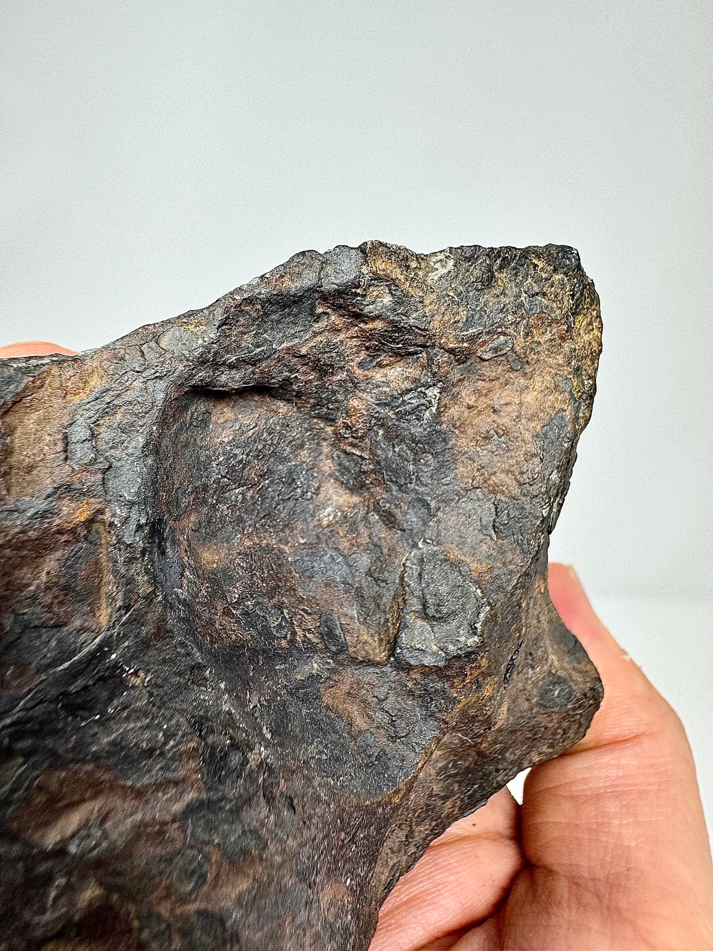 1,171g Campo Del Cielo Iron Meteorite - Beautiful Features and a HUGE regmyglypt!