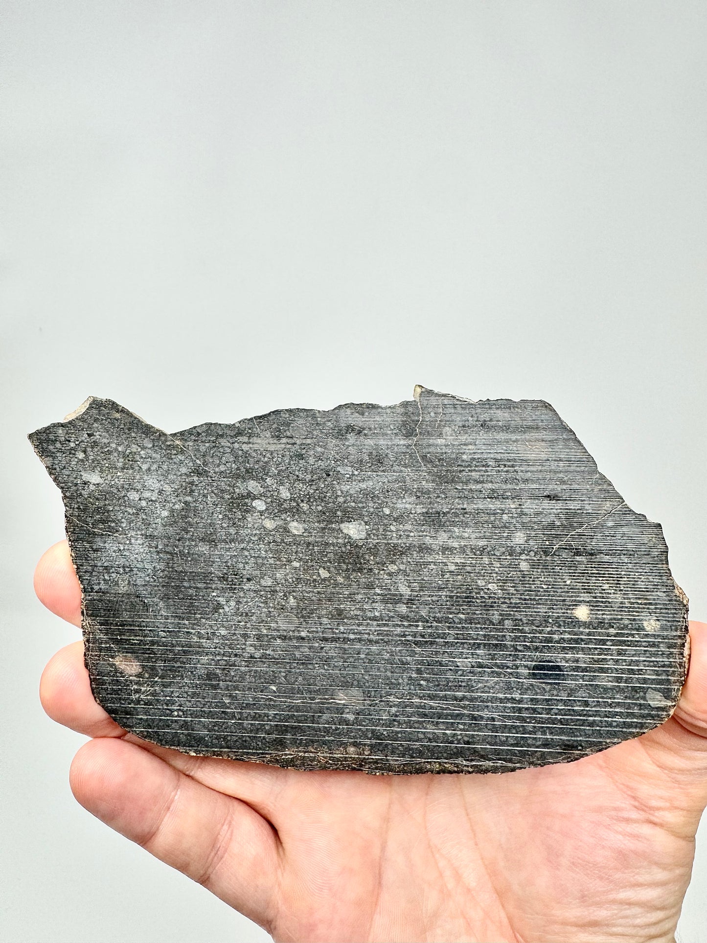 NWA 15825 L3 Chondrite Meteorite - Jet Black and Packed With Chondrules - 75.4g - From An Asteroid