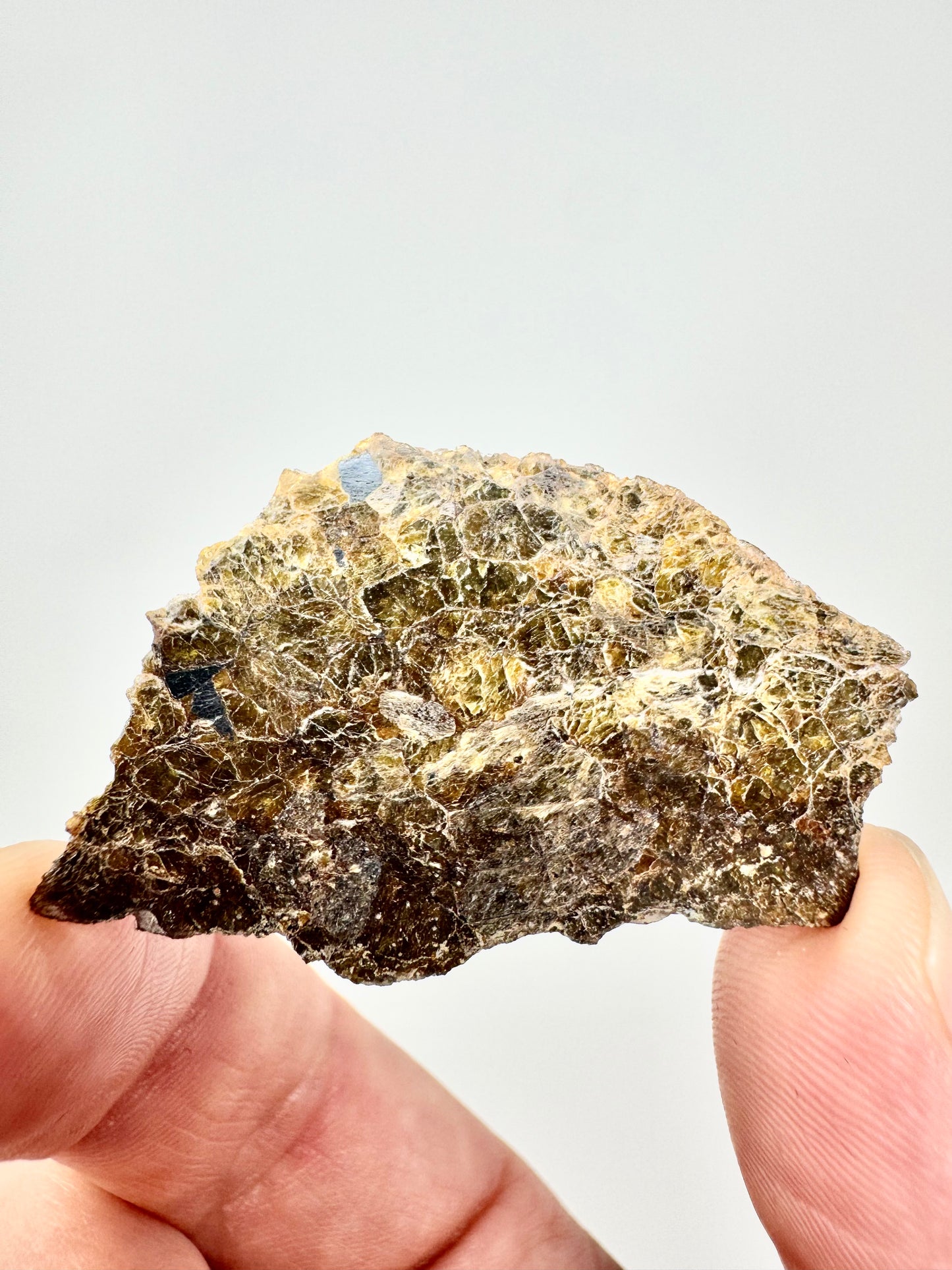 4.6g NWA 16317 Translucent Diogenite Meteorite - Parent Body: Asteroid Vesta