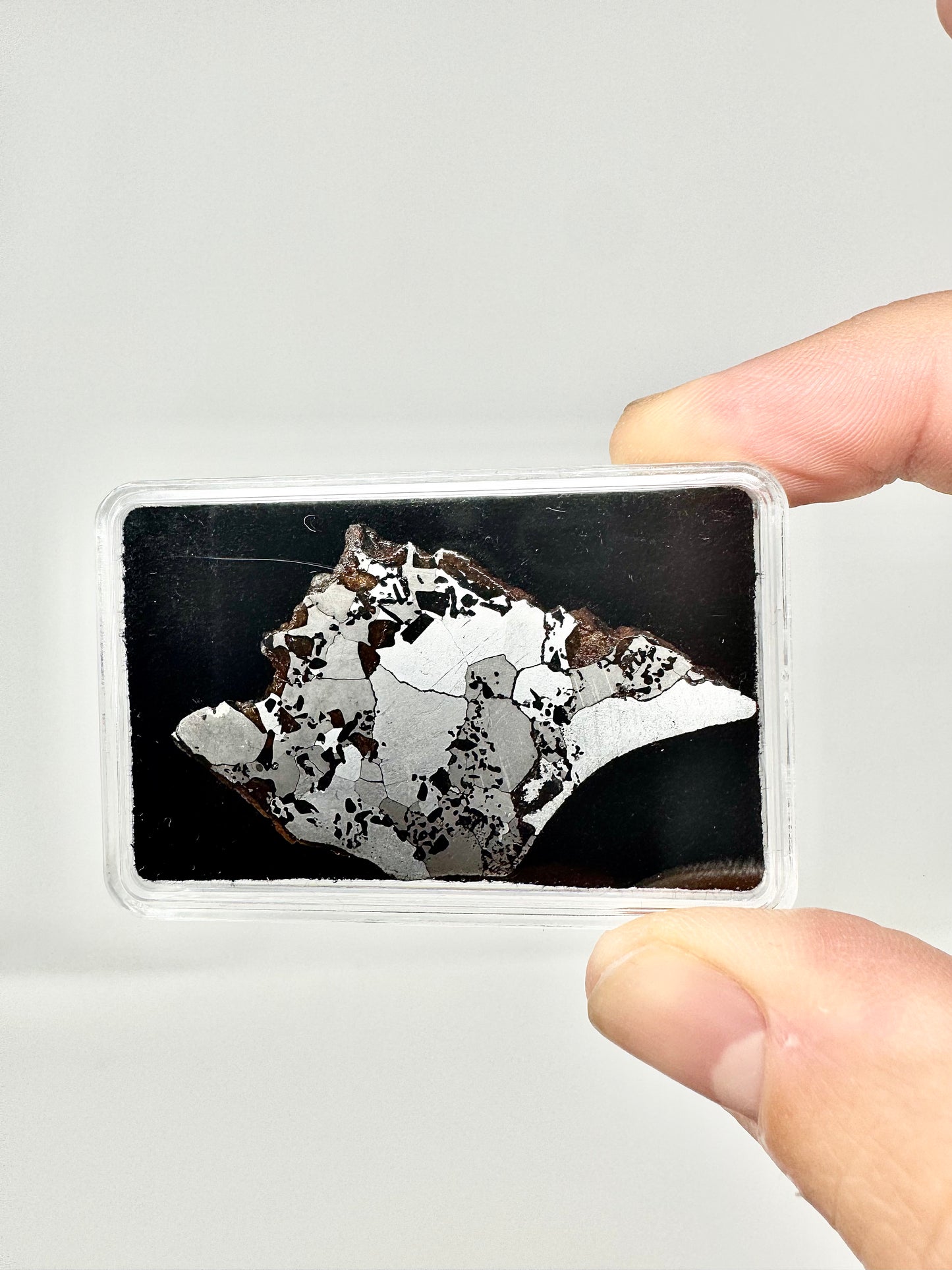 Hassi El Biod 002 Meteorite - Some Translucency On Outer Edge - 9.3g - A Rare, Ungrouped Olivine/Pyroxene Filled Pallasite!