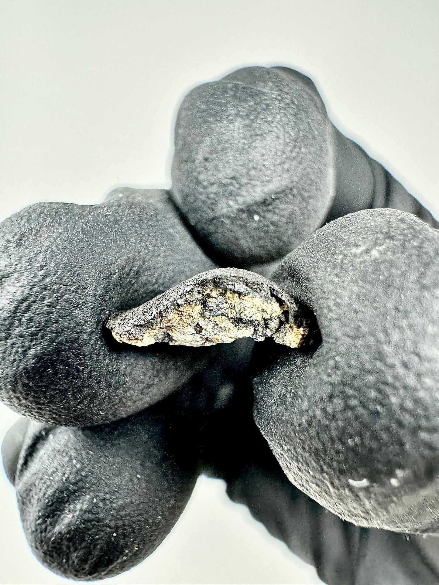 0.4g Chelyabinsk Brecciated Meteorite - Jet Black Crust - Incredibly Fresh and Discovered Immediately After the Fall!
