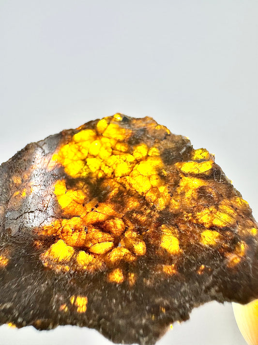 4.6g NWA 16317 Translucent Diogenite Meteorite - Parent Body: Asteroid Vesta