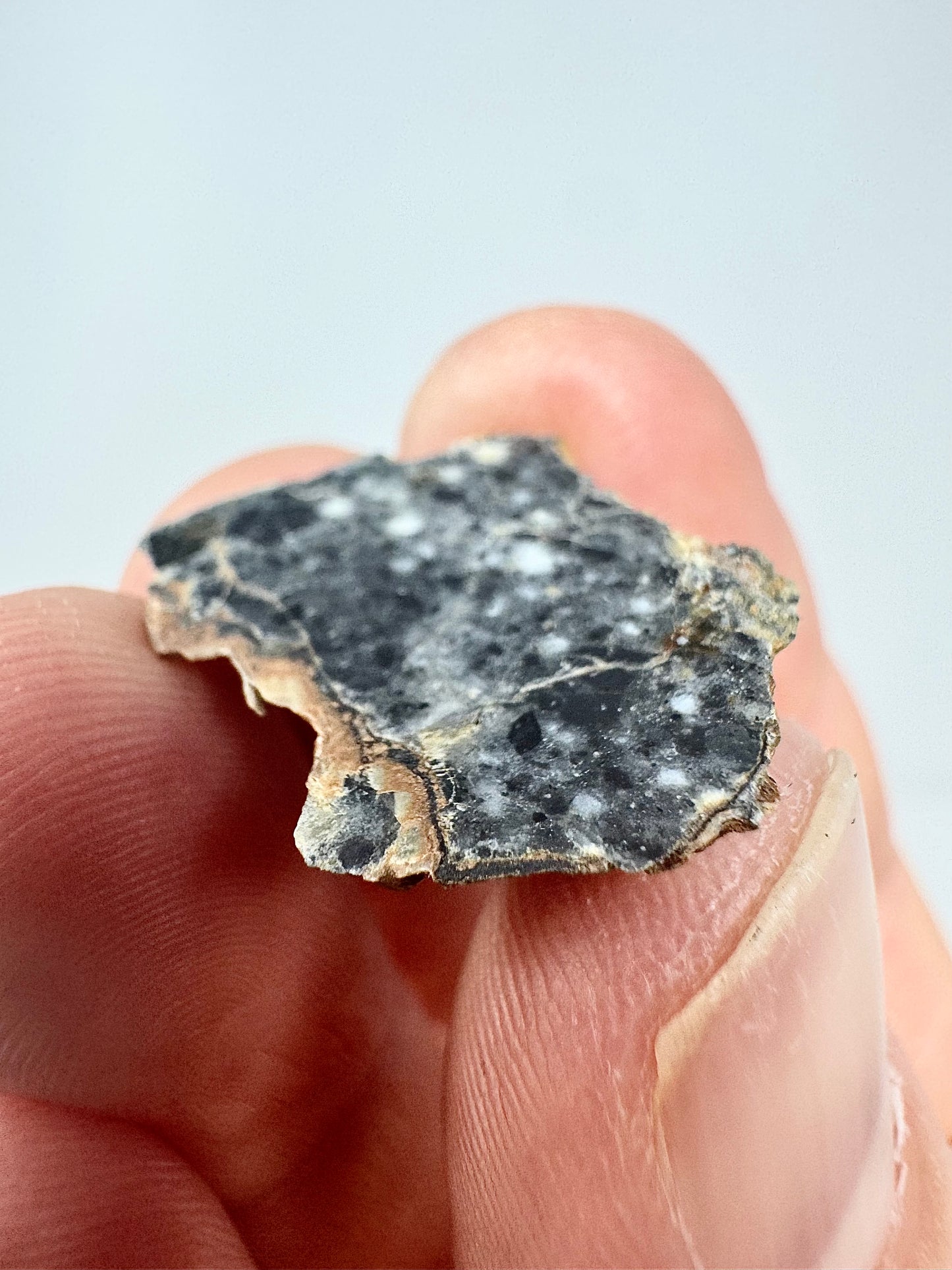 Stunning Bechar 003 Lunar Feldspathic Breccia - 2.0g - A Piece Of Our Moon!